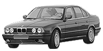 BMW E34 P173E Fault Code